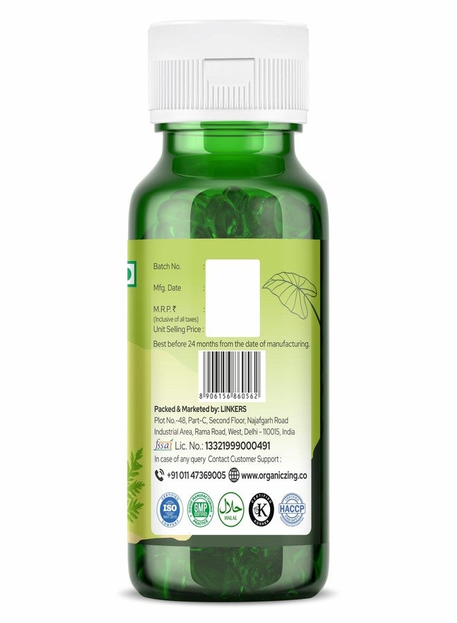ORGANIC ZING كبسولات أرتيميسينين العضوية من أورجانيك زينج - 60 كبسولة، 500 ملغ - مستخلص نباتي وخالٍ من الغلوتين لدعم المناعة والصحة العامة من أرتيميسيا أنوال - Image 3
